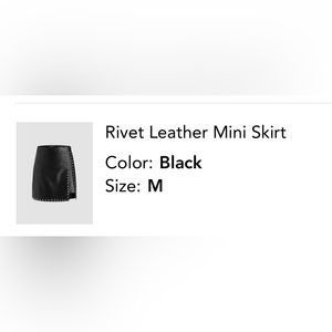 Cider Rivet Leather Mini Skirt